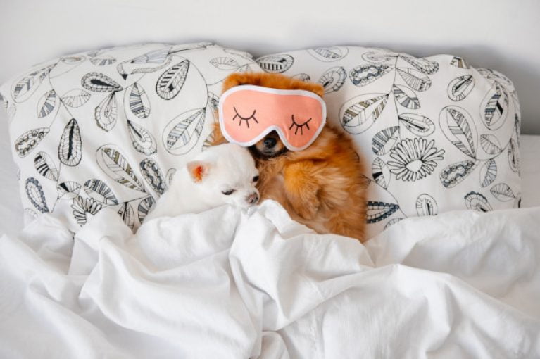 nos experts ont testé le matelas hybride d'Hypnia