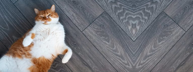 besoin d'un soutien adapté
