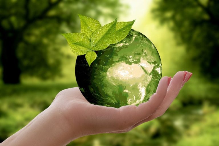Avis marque Kipli - planète verte dans la main