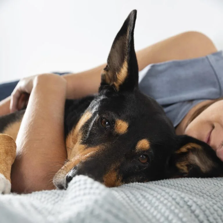 dormir avec un chien, le pour et le contre