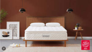 où trouver le matelas Hypnia Bien être suprême